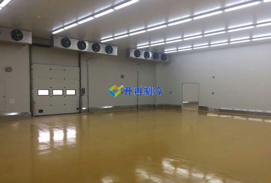 藥廠/藥企建造2-8℃低溫倉庫設(shè)備安裝造價多少